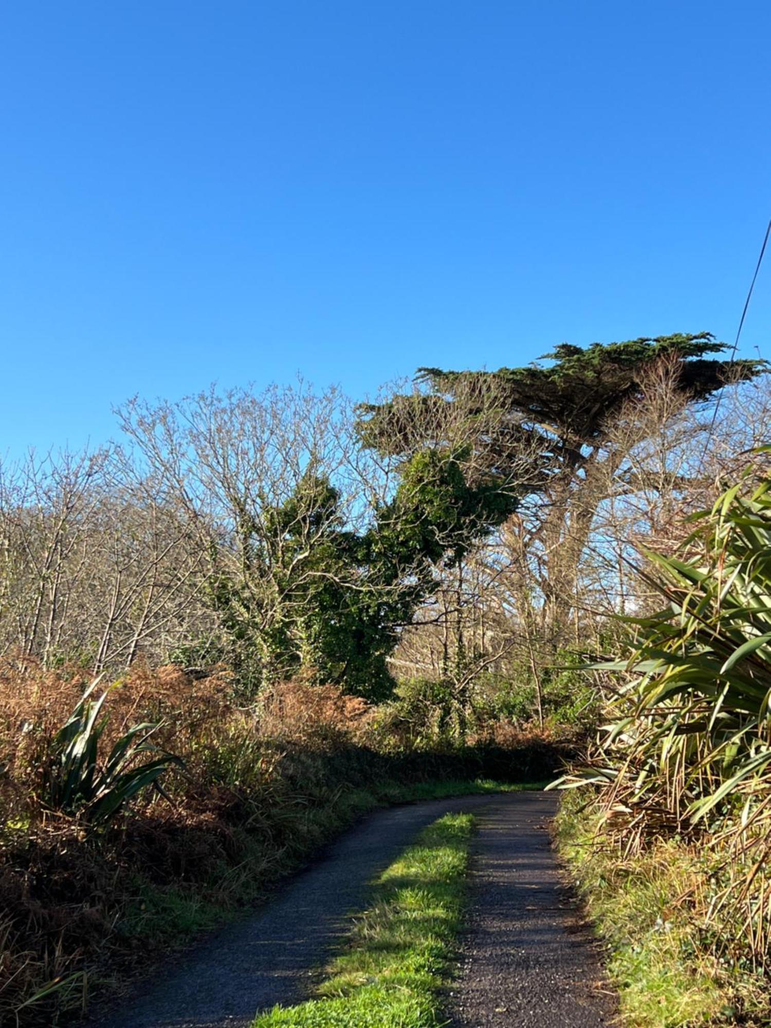 Ancaire Cottage Kilbronogue. Schull Exterior foto